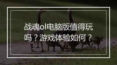 战魂ol电脑版值得玩吗？游戏体验如何？