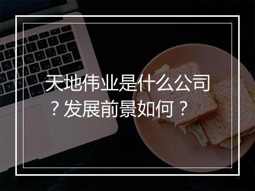 天地伟业是什么公司？发展前景如何？