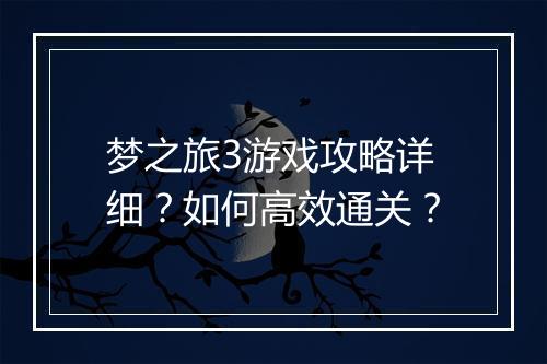 梦之旅3游戏攻略详细？如何高效通关？