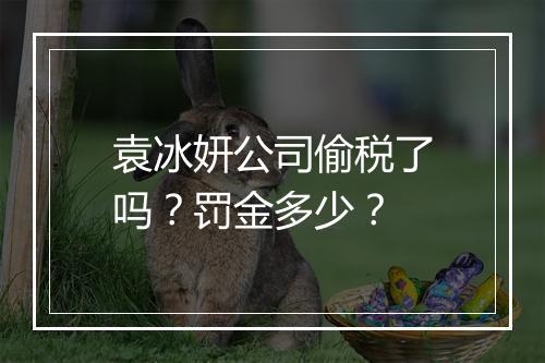 袁冰妍公司偷税了吗？罚金多少？