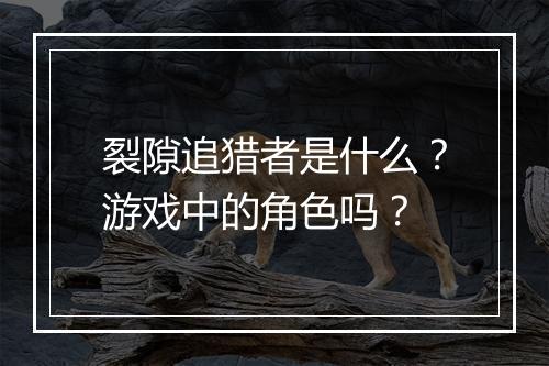 裂隙追猎者是什么？游戏中的角色吗？