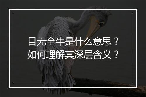 目无全牛是什么意思？如何理解其深层含义？