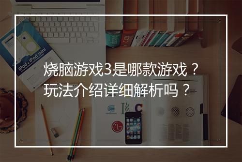 烧脑游戏3是哪款游戏？玩法介绍详细解析吗？