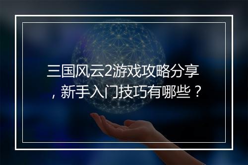 三国风云2游戏攻略分享，新手入门技巧有哪些？
