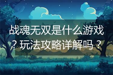 战魂无双是什么游戏？玩法攻略详解吗？