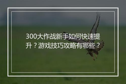 300大作战新手如何快速提升？游戏技巧攻略有哪些？