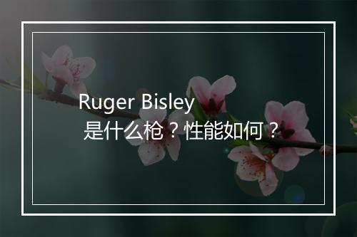 Ruger Bisley 是什么枪？性能如何？
