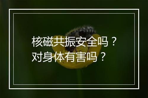 核磁共振安全吗？对身体有害吗？