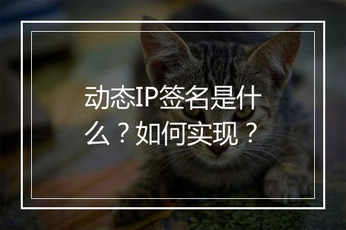 动态IP签名是什么？如何实现？