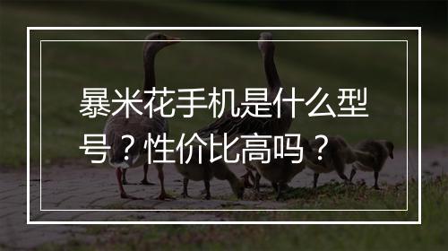 暴米花手机是什么型号？性价比高吗？
