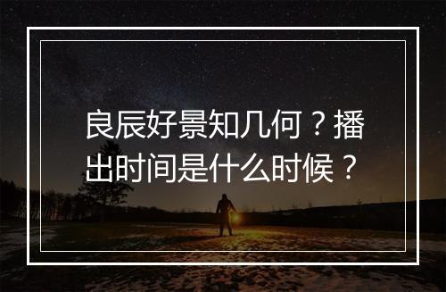 良辰好景知几何？播出时间是什么时候？