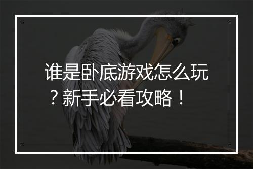 谁是卧底游戏怎么玩？新手必看攻略！