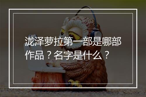 泷泽萝拉第一部是哪部作品？名字是什么？