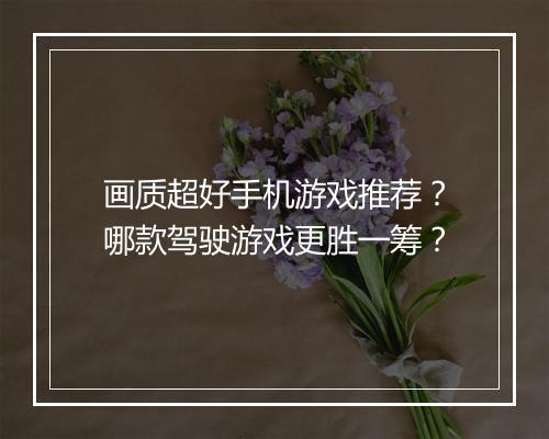 画质超好手机游戏推荐？哪款驾驶游戏更胜一筹？