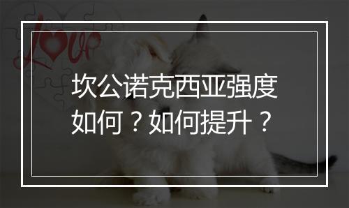 坎公诺克西亚强度如何？如何提升？