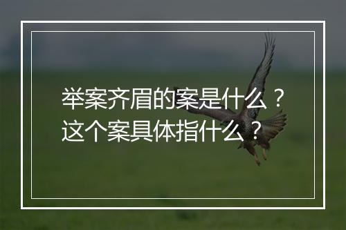 举案齐眉的案是什么？这个案具体指什么？