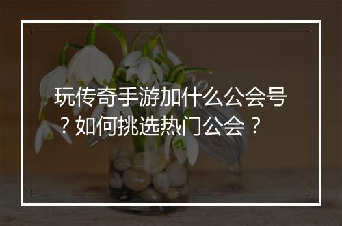 玩传奇手游加什么公会号？如何挑选热门公会？