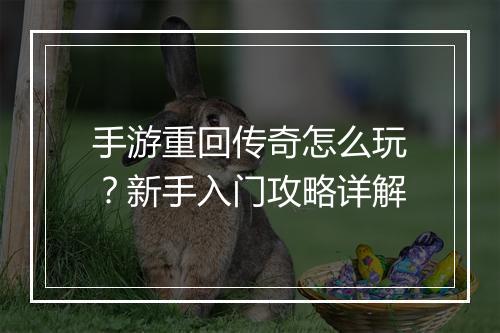 手游重回传奇怎么玩？新手入门攻略详解