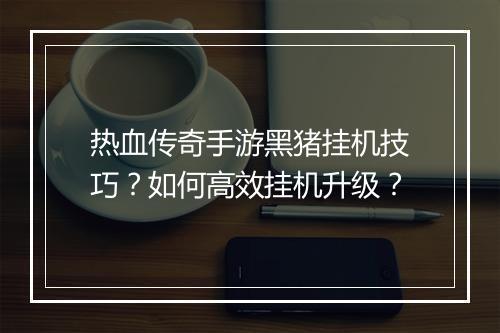 热血传奇手游黑猪挂机技巧？如何高效挂机升级？