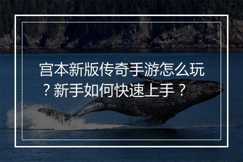 宫本新版传奇手游怎么玩？新手如何快速上手？
