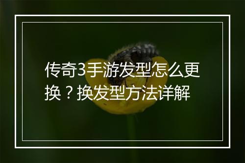 传奇3手游发型怎么更换？换发型方法详解