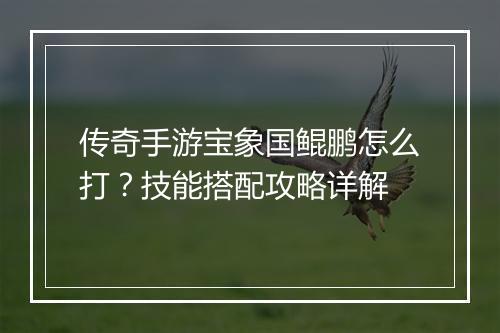 传奇手游宝象国鲲鹏怎么打？技能搭配攻略详解