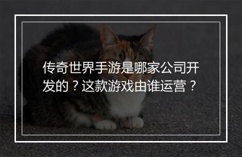 传奇世界手游是哪家公司开发的？这款游戏由谁运营？