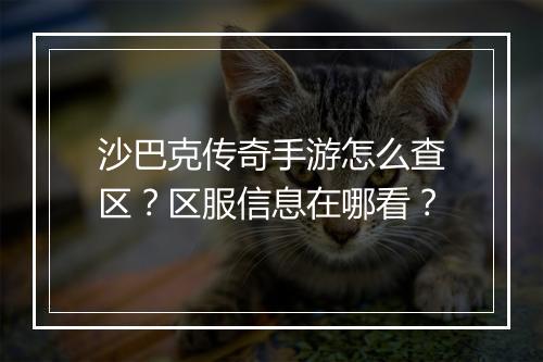 沙巴克传奇手游怎么查区？区服信息在哪看？