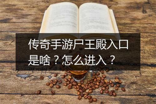 传奇手游尸王殿入口是啥？怎么进入？