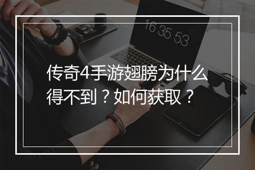 传奇4手游翅膀为什么得不到？如何获取？