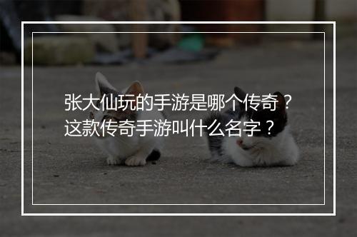张大仙玩的手游是哪个传奇？这款传奇手游叫什么名字？