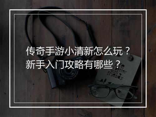传奇手游小清新怎么玩？新手入门攻略有哪些？