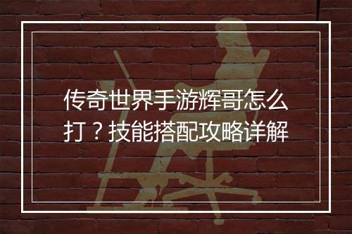 传奇世界手游辉哥怎么打？技能搭配攻略详解