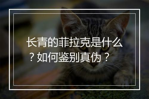 长青的菲拉克是什么？如何鉴别真伪？