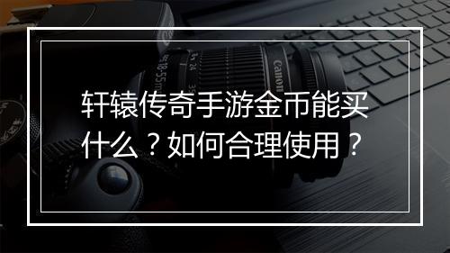 轩辕传奇手游金币能买什么？如何合理使用？