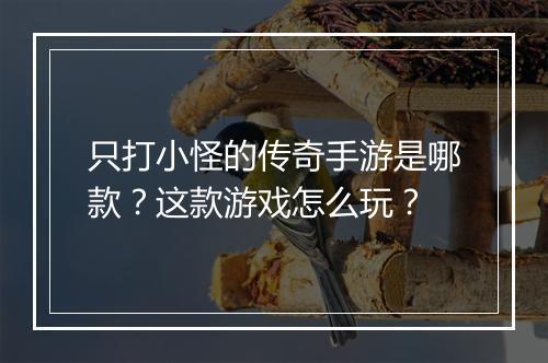 只打小怪的传奇手游是哪款？这款游戏怎么玩？