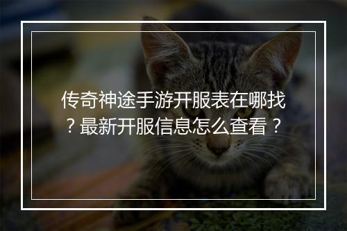传奇神途手游开服表在哪找？最新开服信息怎么查看？