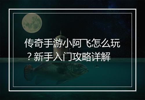 传奇手游小阿飞怎么玩？新手入门攻略详解