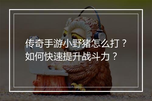传奇手游小野猪怎么打？如何快速提升战斗力？