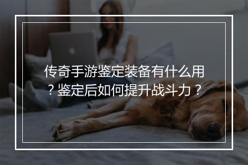 传奇手游鉴定装备有什么用？鉴定后如何提升战斗力？