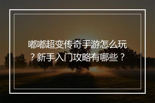 嘟嘟超变传奇手游怎么玩？新手入门攻略有哪些？