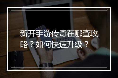 新开手游传奇在哪查攻略？如何快速升级？
