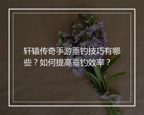 轩辕传奇手游垂钓技巧有哪些？如何提高垂钓效率？