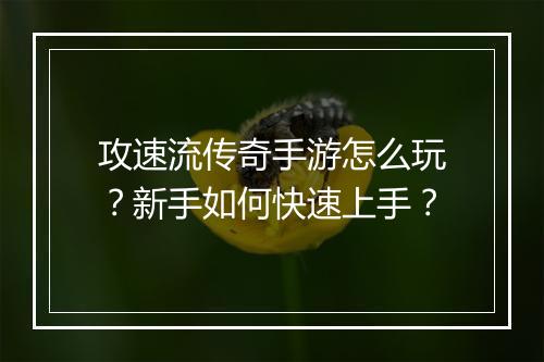 攻速流传奇手游怎么玩？新手如何快速上手？
