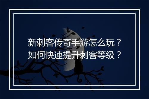 新刺客传奇手游怎么玩？如何快速提升刺客等级？