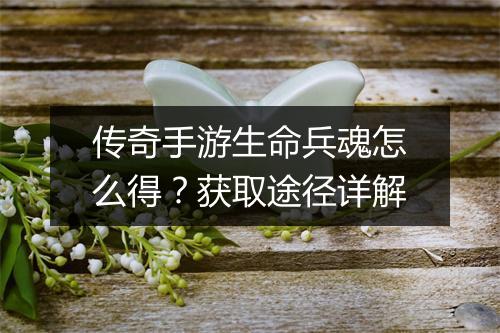 传奇手游生命兵魂怎么得？获取途径详解