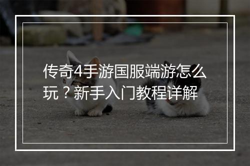 传奇4手游国服端游怎么玩？新手入门教程详解