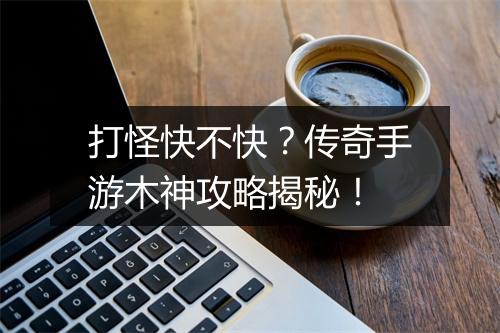 打怪快不快？传奇手游木神攻略揭秘！