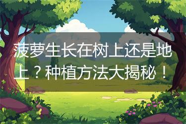 菠萝生长在树上还是地上？种植方法大揭秘！