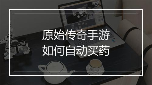 原始传奇手游如何自动买药